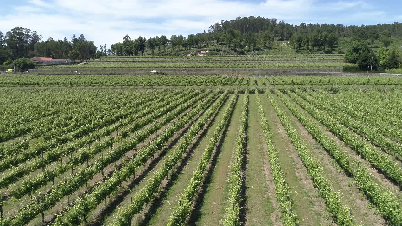 vides en una bodega vista aérea