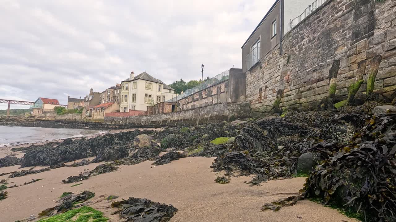 Spiaggia rocciosa con alghe ed edifici a Queensferry