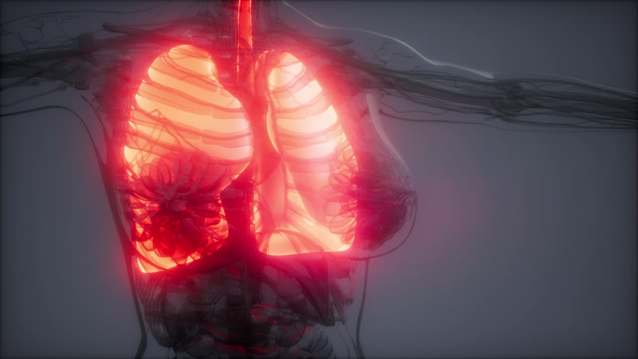 examen radiológico de los pulmones humanos