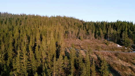 Tiefwinkelaufnahme-Eines-Dichten-Grünen-Waldes-Entlang-Einer-Straße-Am-Berghang-An-Einem-Sonnigen-Tag