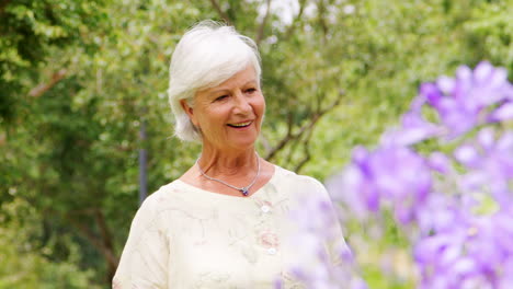 mujer mayor admirando flores en un parque, de cerca