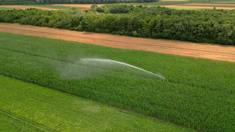 Agricultural-Sprinkler-And-Green-Fields-In-Marchfeld,-Austria---Aerial-Drone-Shot