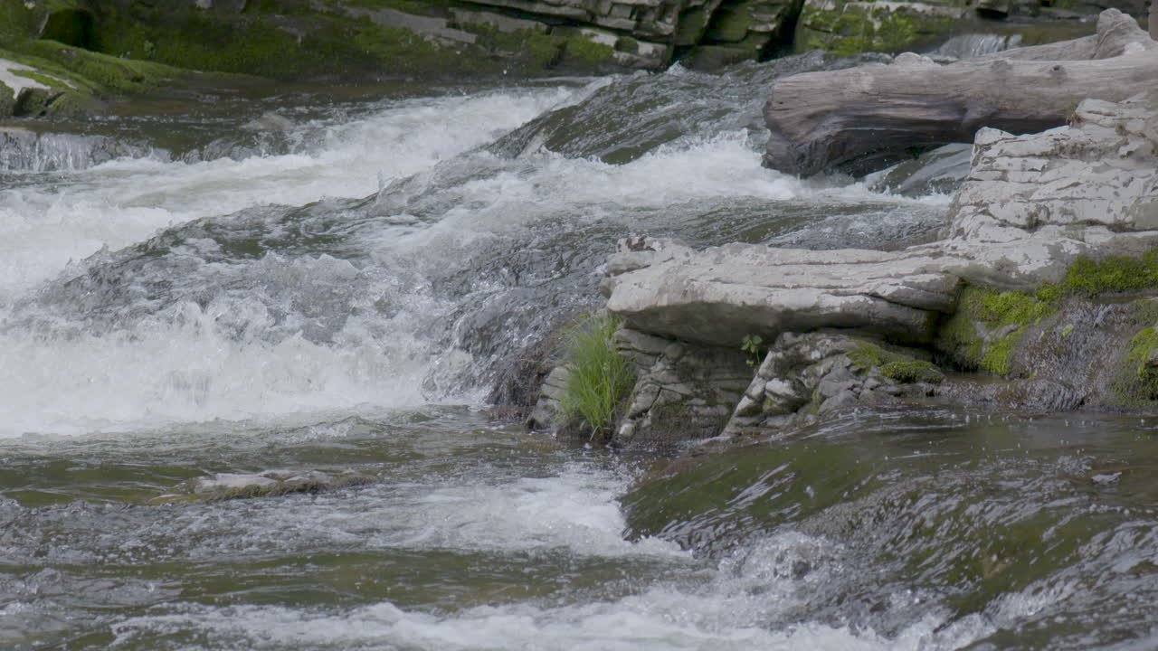 rushing, rocky river in NC