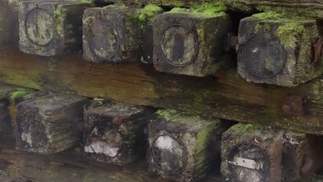 cerca de viejas traviesas de ferrocarril cubiertas de musgo de la caminata takedao, hyogo, japón