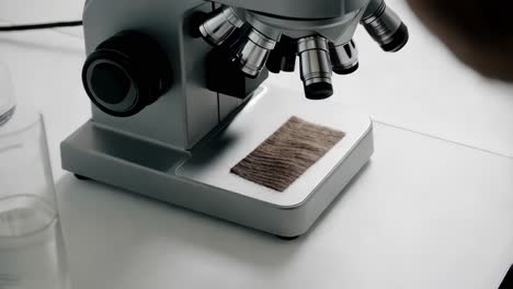 microscope examination of a sample