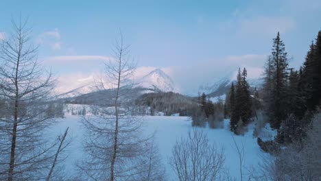 rising above leafless winter tree in snowy white landscape reveals mountain peak