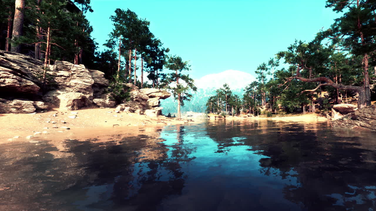 뒷면 에 산 들 이 있는 울창 한 숲 을 가로질러 흐르는 강 의 조용 한 풍경