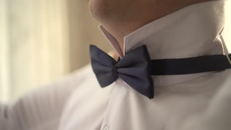 men wear a beautiful tie - bowtie