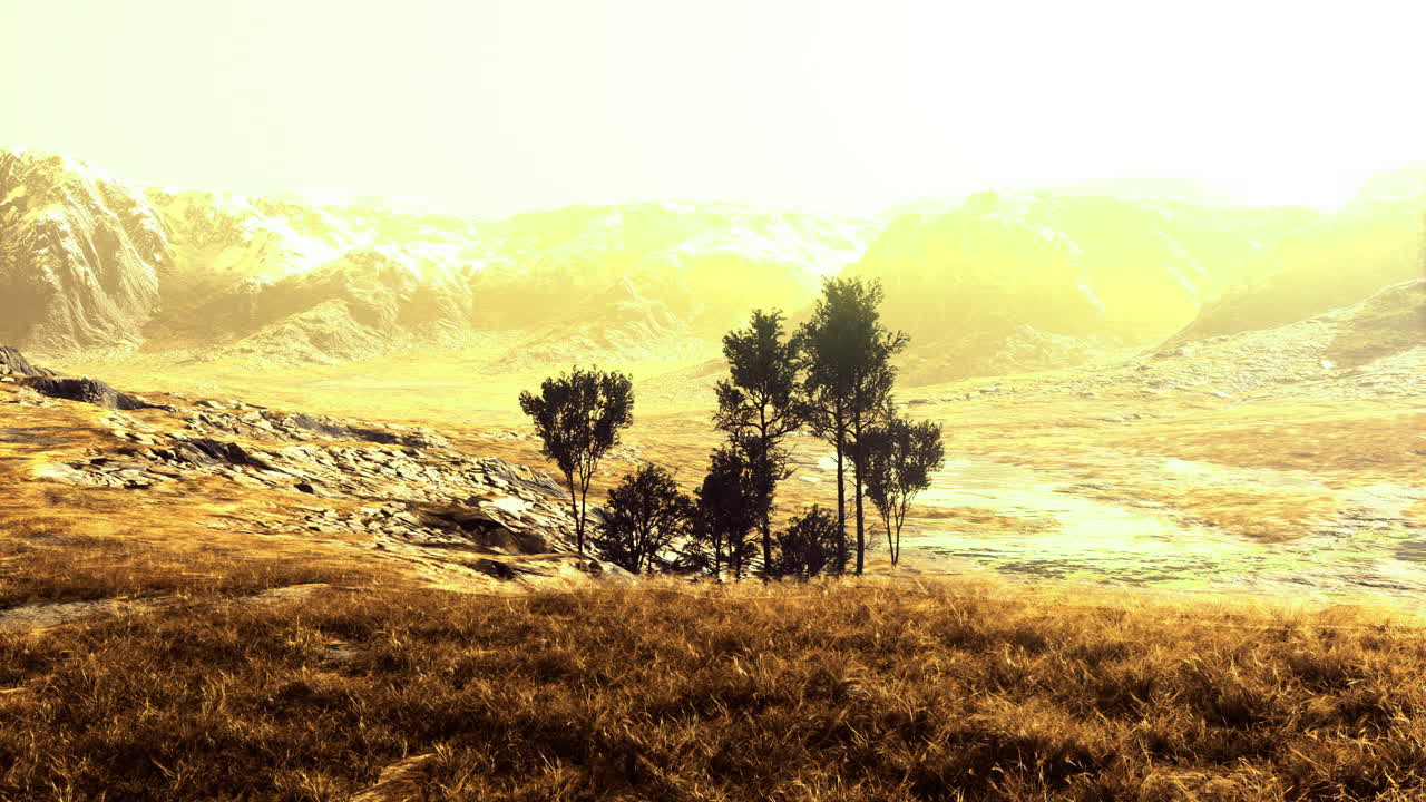 Golden landscape with trees under bright sunlight in a serene setting