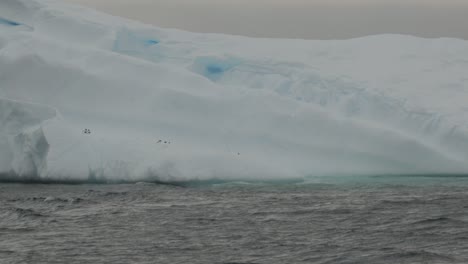 Lindo-Pingüino-Busca-Un-Iceberg-Seguro-O-Un-Flotador-De-Hielo-En-El-Océano