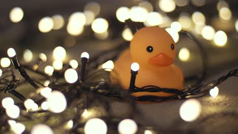 toma de primer plano de un pato de goma en el fondo de una guirnalda de navidad en un playd. decoración del hogar