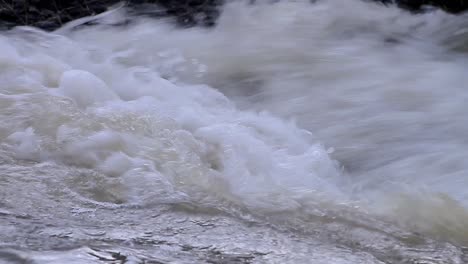 rain-water-running-into-a-stream-in-the-forest-stock-footage
