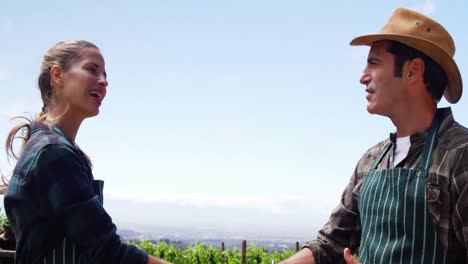 pareja sonriente estrechando la mano mientras interactúan en el campo