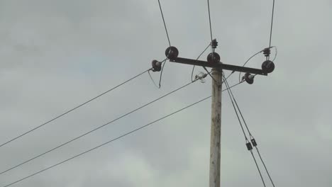 overhead cables attached to wooden pole leading off different directions