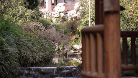 Mirando-Una-Tranquila-Cascada-Del-Jardín-Del-Templo-Chino-Desde-Un-Pabellón-Pacífico