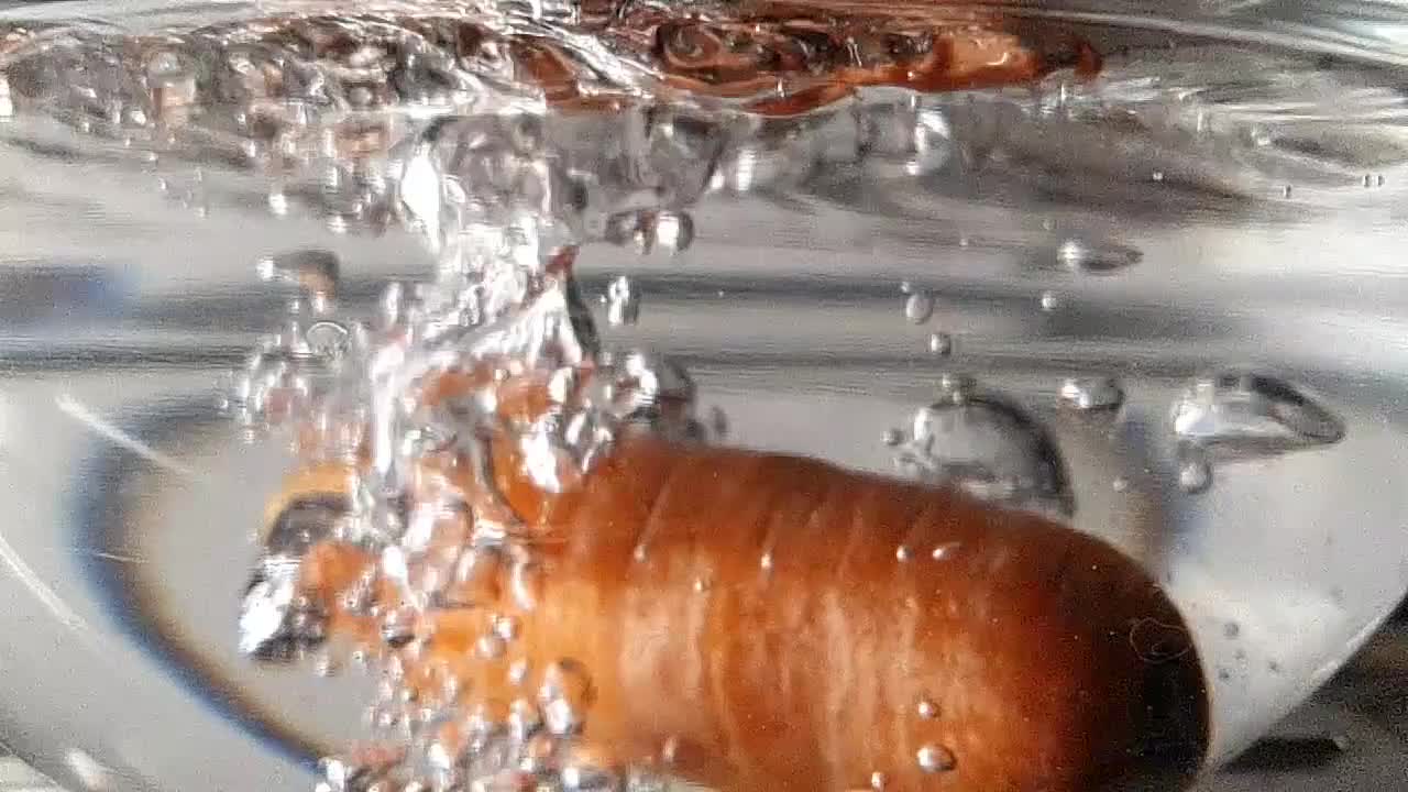 물이 튀는 슈퍼 슬로모션으로 물이 가득 찬 그릇에 당근을 떨어뜨리다