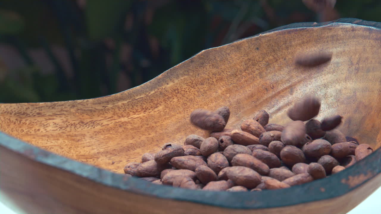 granos de cacao cayendo lentamente en un tazón de madera
