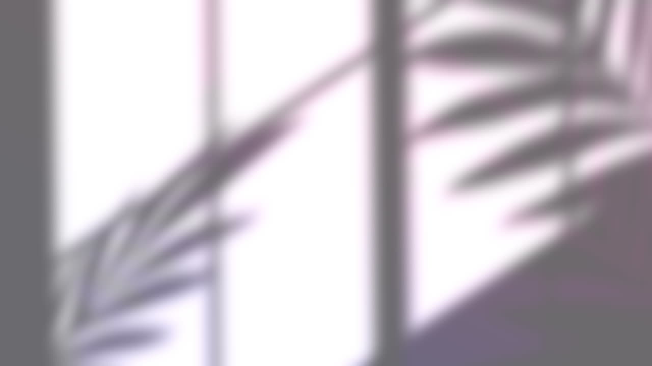 ⁇ 색 배경 위에 있는 잎의 창문 그림자의 애니메이션