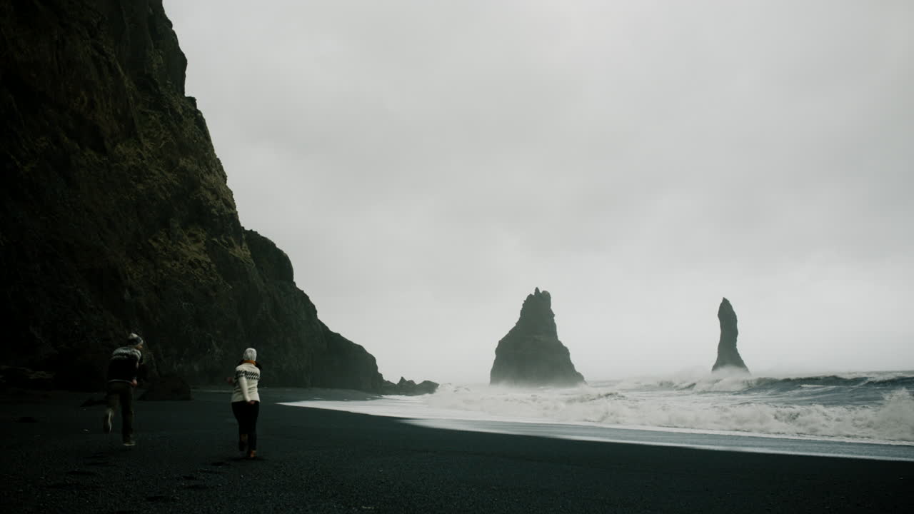 아이슬란드의 검은 모래 해변