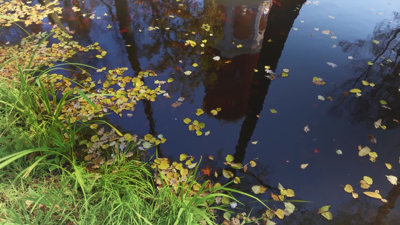 반사와 함께 연못에 노란 가을 잎