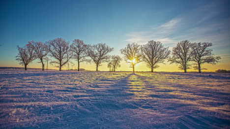 beautiful sunset in timelapse over snow covered landscape with coniferous trees in the foreground during evening time