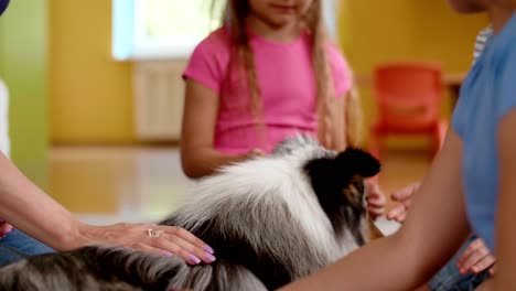 grupo de niños que se divierten con el perro de servicio durante la terapia