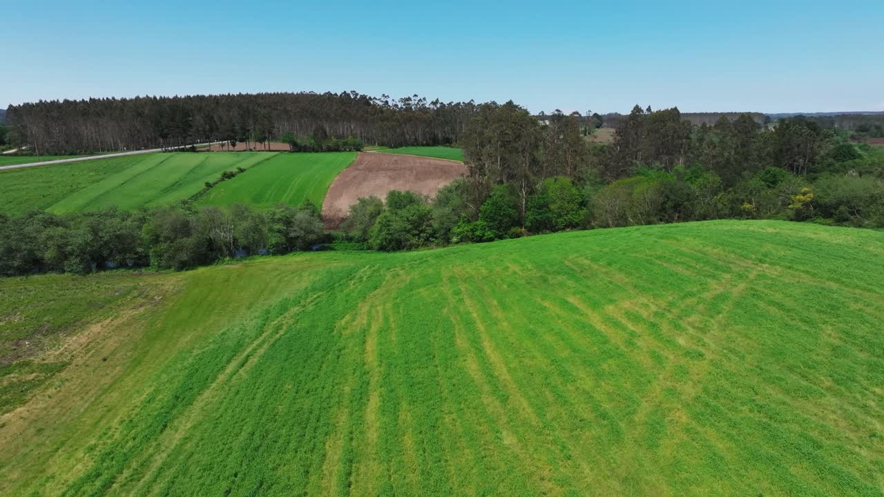 campos de prado verde con árboles densos en el fondo cerca del campo