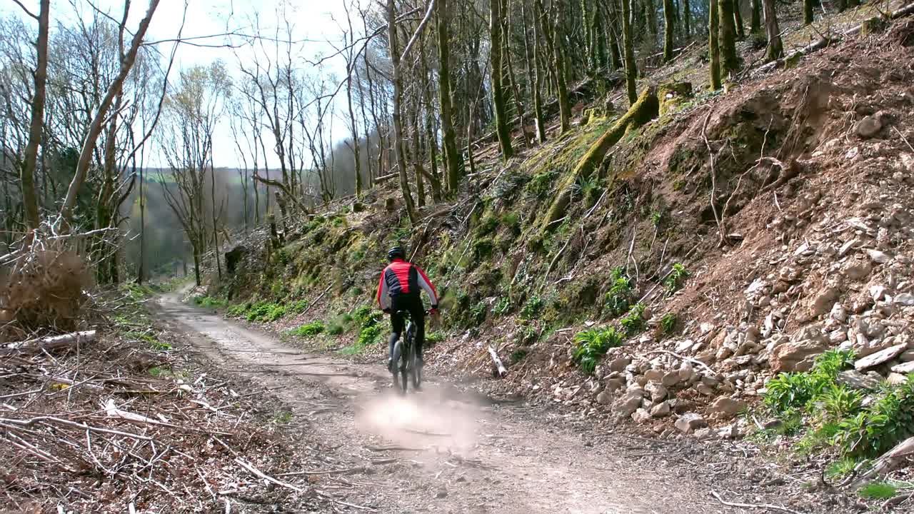 vista trasera de un ciclista de montaña montando una bicicleta en el bosque
