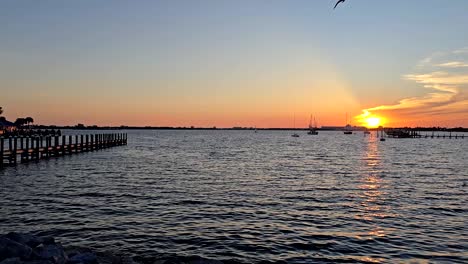 lovely sunset in the evening over the marina bay. boats anchored and sailing, as birds fly past, and the sun dips below the horizon, in panama city, florida.