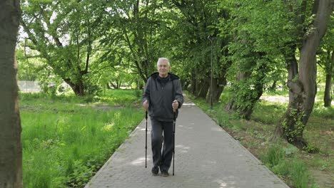 Anciano-Activo-Entrenando-Marcha-Nórdica-Con-Bastones-De-Esquí-En-El-Parque