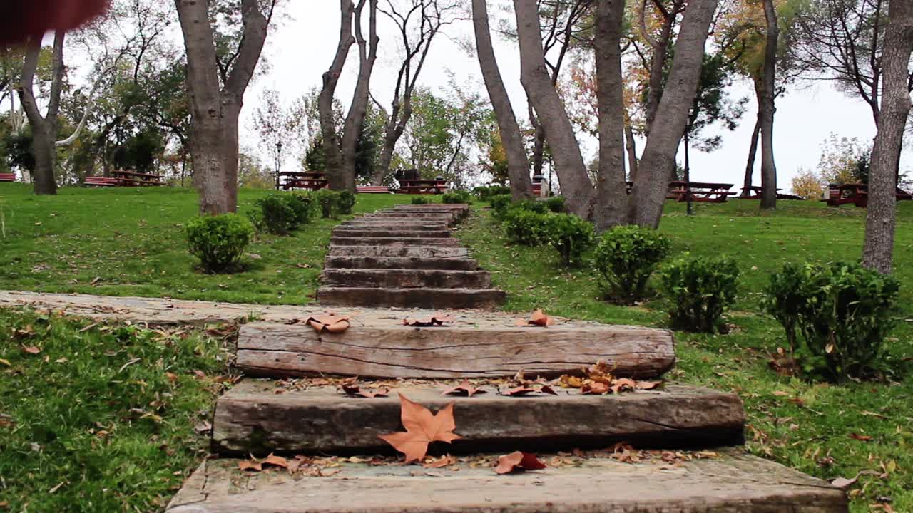 caminando por el bosque en el parque de otoño