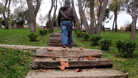 Caminando-En-El-Parque-De-Otoño-Del-Bosque