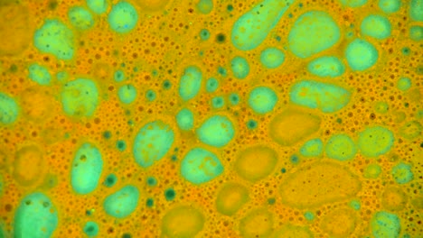curlicue of paints