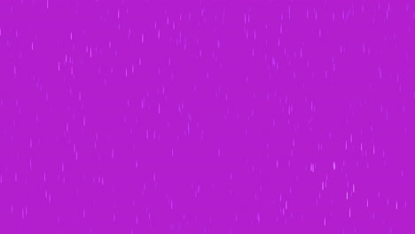 fondo púrpura con líneas verticales