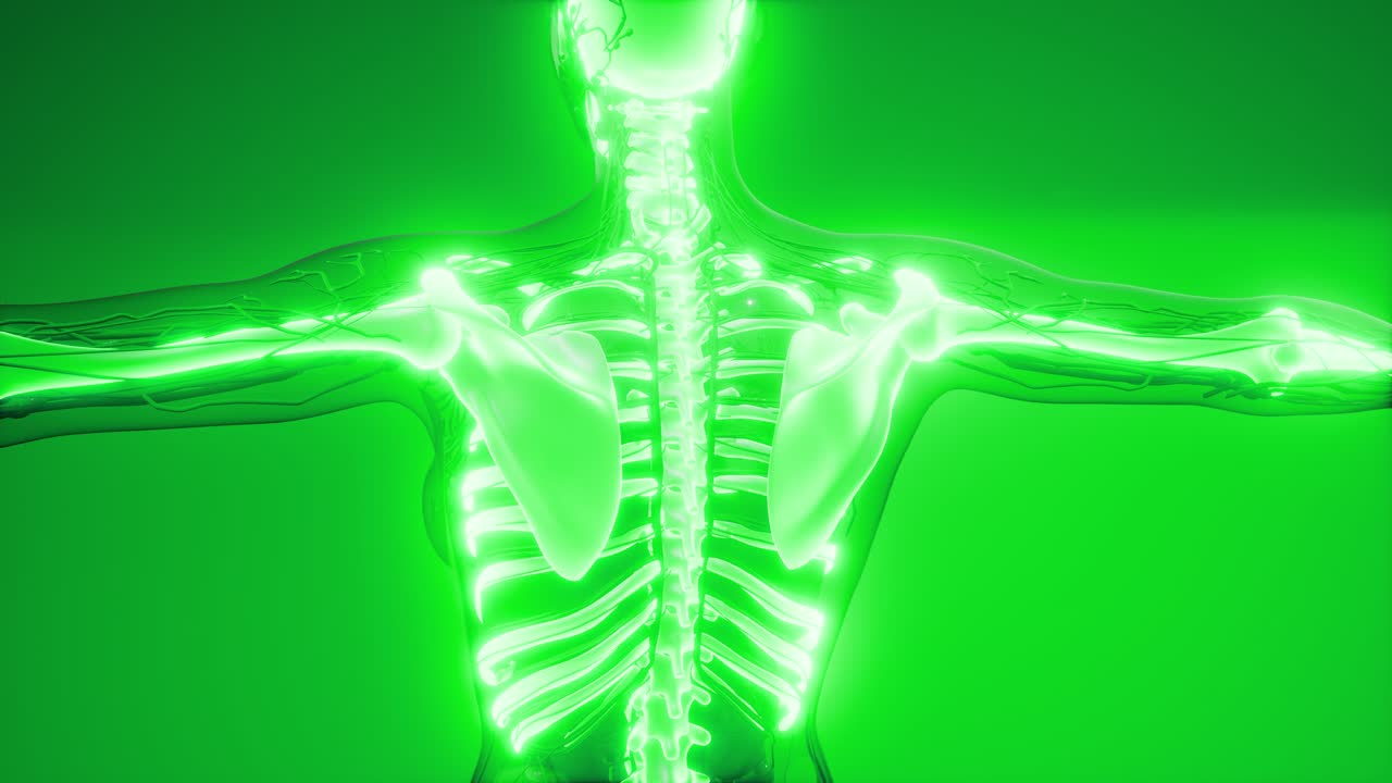 눈에 띄는  ⁇ 가 있는 투명한 인간 몸