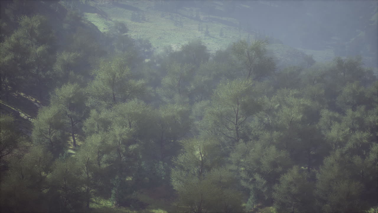 아침 시간 에 높은 산