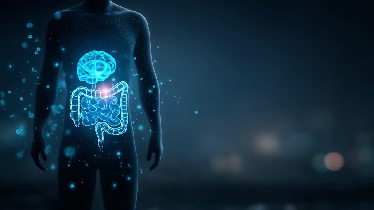 A Mystical Representation of the Human Body Featuring an Integrated Holographic Visualization of the Brain and Digestive System, Symbolizing Internal Connections and Functionality
