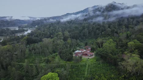 aerial orbiting shot of farm surrounded by exotic rainforest with hovering clouds over treetops in india - beautiful landscape with greened mountains