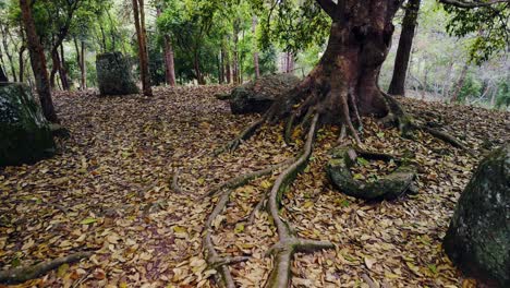 Llanura-De-Las-Tinajas,-Phonsavanh,-Laos