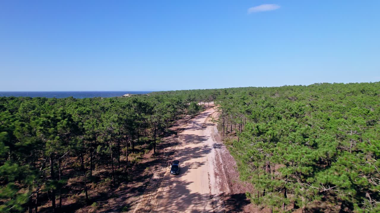 포르투갈 알렌테주 해안선 근처 숲의 조감도