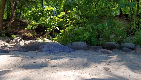 sand on the bank of the riviere la rouge on a sunny day, quebec, canada, medium shot panning left