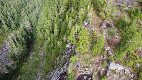 Aerial-Top-down-of-Sub-Alpine-Forest-on-Vancouver-Island-Mountains,-Minnas-Ridge