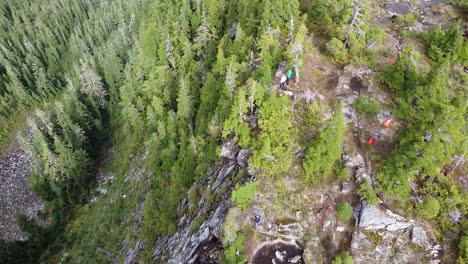 aerial top-down of sub alpine forest on vancouver island mountains, minnas ridge