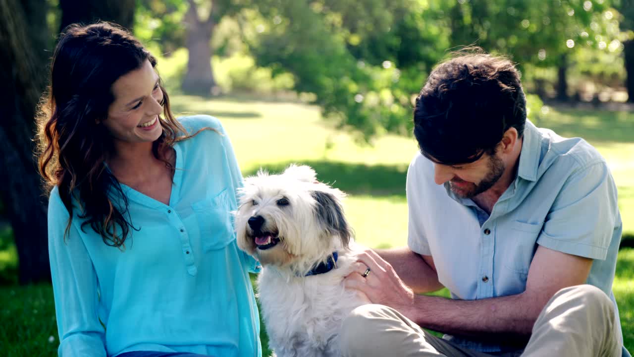 한 부부가 공원에서 개와 함께 놀고 있다