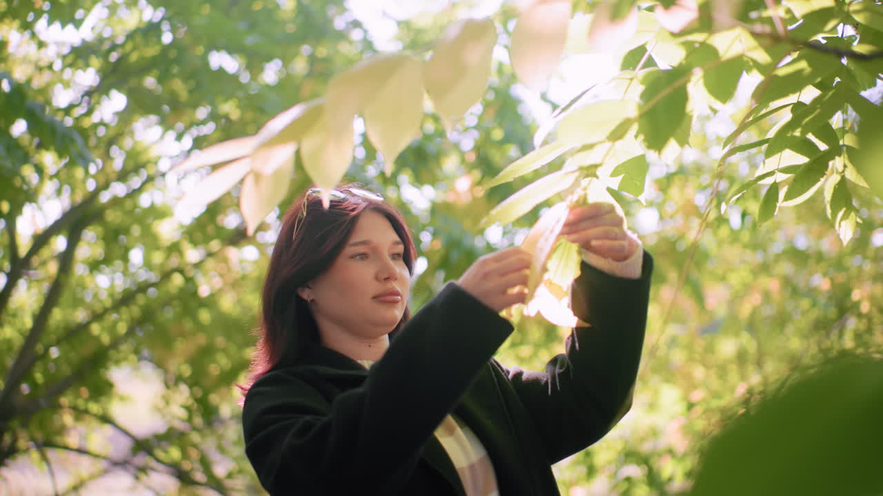 Medium shot of elegant young woman in dark coat touching leaf under sun rays, sunglasses on hair, gentle pluck then step back, warm bokeh greenery surrounds, quiet nature moment in arboretum