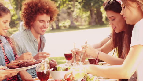 en cámara lenta amigos felices en el parque almorzando