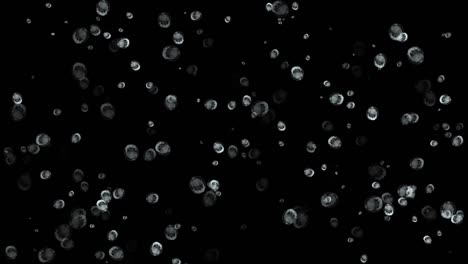 rain drops on window glass motion graphics with night background