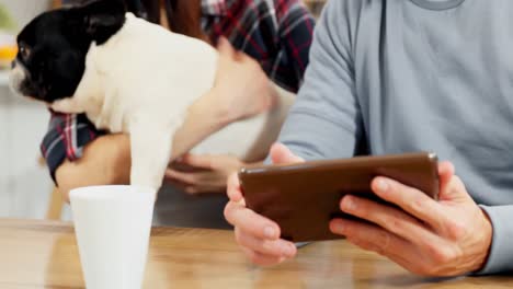 mid section of couple using digital tablet while playing with pug dog 4k