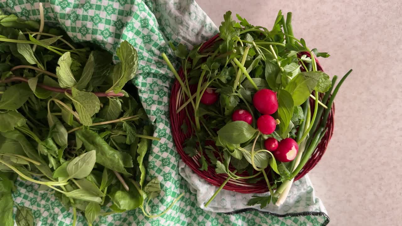 Red fresh radish aromatic beetroot herb sabzi khordan traditional vegetable platter Persian Iranian cuisine edible greens basil tarragon mint bread cheese healthy dining lifestyle Middle East Armenia