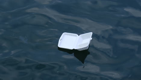 close up a foam food container floating at the sea